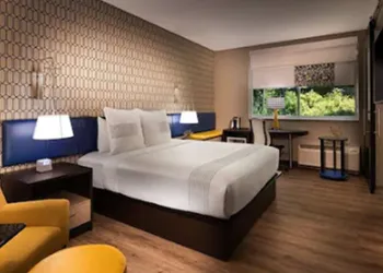 GLō Best Western Nashville Airport hotel thumbnail 7