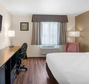Econo Lodge Inn & Suites Springfield Main Street hotel detail image 5