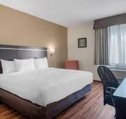 Econo Lodge Inn & Suites Springfield Main Street hotel detail image 7