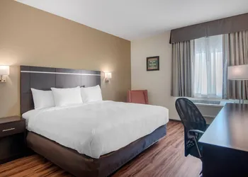 Econo Lodge Inn & Suites Springfield Main Street hotel thumbnail 7