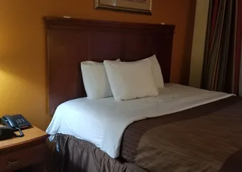 Lotus by Hotel Inn hotel thumbnail 5