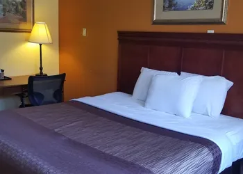 Lotus by Hotel Inn hotel thumbnail 6
