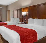 Comfort Suites Columbus Airport hotel detail image 5