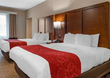 Comfort Suites Columbus Airport hotel thumbnail 5