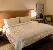 Holiday Inn & Suites Houston NW - Willowbrook by IHG hotel detail image 5