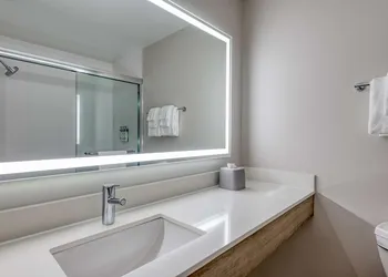 Holiday Inn Express & Suites Bensenville - O'Hare by IHG hotel thumbnail 7