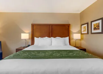 Comfort Inn & Suites Schenectady - Scotia hotel thumbnail 6