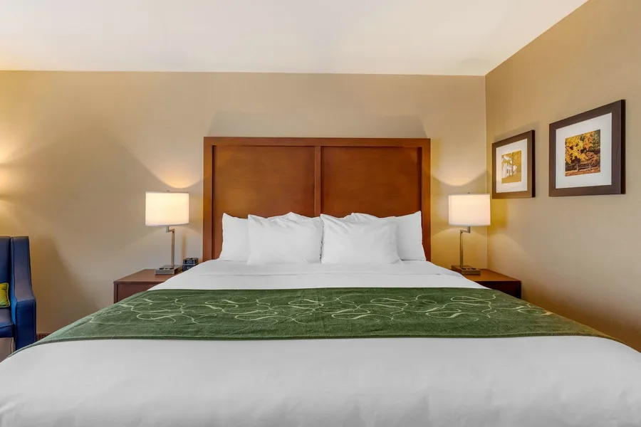 Comfort Inn & Suites Schenectady - Scotia hotel detail image 6