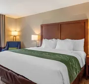 Comfort Inn & Suites Schenectady - Scotia hotel detail image 7