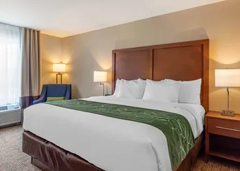 Comfort Inn & Suites Schenectady - Scotia hotel thumbnail 7