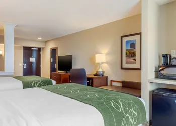 Comfort Inn & Suites Schenectady - Scotia hotel thumbnail 8