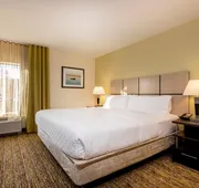 Candlewood Suites Dumfries - Quantico by IHG hotel detail image 5