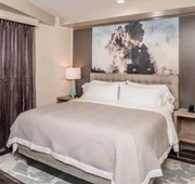 Hotel Indigo Frisco by IHG hotel detail image 4