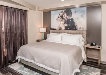 Hotel Indigo Frisco by IHG hotel thumbnail 4