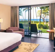 Hilton Waikoloa Village hotel detail image 5
