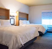 Holiday Inn & Suites Savannah Airport - Pooler by IHG hotel detail image 7