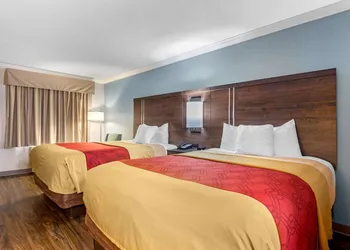 Econo Lodge Byron - Warner Robins hotel thumbnail 6