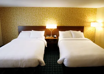 Fairfield Inn & Suites by Marriott London hotel thumbnail 4