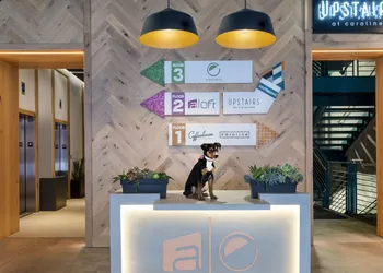 Aloft by Marriott Austin Downtown hotel thumbnail 2