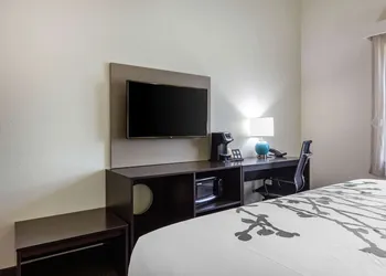 Sleep Inn & Suites Tampa South hotel thumbnail 8