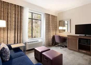 Hampton Inn & Suites Seattle/Renton hotel thumbnail 8