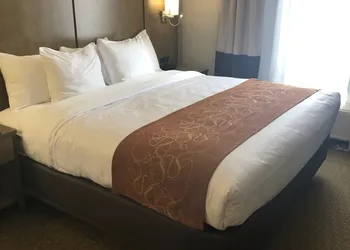 Comfort Suites Columbia I-65 hotel thumbnail 8