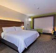 Holiday Inn Express & Suites Houston North I-45 Spring by IHG hotel detail image 5