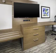Holiday Inn Express & Suites Fort Myers Airport by IHG hotel detail image 7