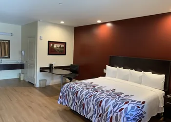 Red Roof Inn Houston - Willowbrook hotel thumbnail 5