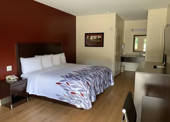 Red Roof Inn Houston - Willowbrook hotel thumbnail 6