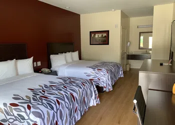 Red Roof Inn Houston - Willowbrook hotel thumbnail 8