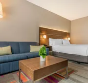 Holiday Inn Express & Suites Ruskin by IHG hotel detail image 4