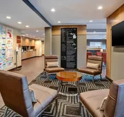 TownePlace Suites by Marriott Detroit Belleville hotel detail image 4