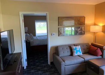 TownePlace Suites by Marriott Detroit Belleville hotel thumbnail 8