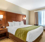 Comfort Suites San Antonio Ft. Sam Houston/SAMMC Area hotel detail image 4