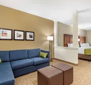 Comfort Suites San Antonio Ft. Sam Houston/SAMMC Area hotel detail image 7