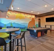 Tru By Hilton Denver South Park Meadows hotel detail image 4