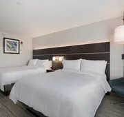 Holiday Inn Express & Suites Chicago - Hoffman Estates by IHG hotel detail image 3