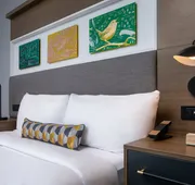 Hotel Indigo Chattanooga - Downtown by IHG hotel detail image 7