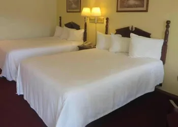 Honeysuckle Inn - Mountain View hotel thumbnail 4