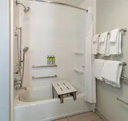 Holiday Inn Express Durango Downtown-Animas River by IHG hotel detail image 7
