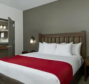 Great Wolf Lodge Arizona hotel detail image 4
