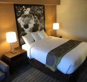 Super 8 Lynnwood hotel detail image 7