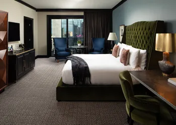 Hotel ZaZa Austin hotel thumbnail 8