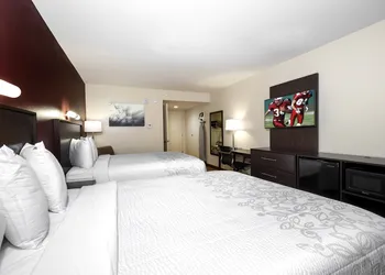 Red Roof Inn PLUS+ Tuscaloosa - University hotel thumbnail 7