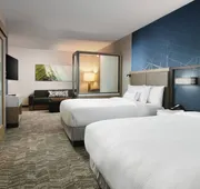 SpringHill Suites by Marriott Dallas DFW Airport South/CentrePort hotel detail image 5