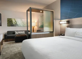 SpringHill Suites by Marriott Dallas DFW Airport South/CentrePort hotel thumbnail 6