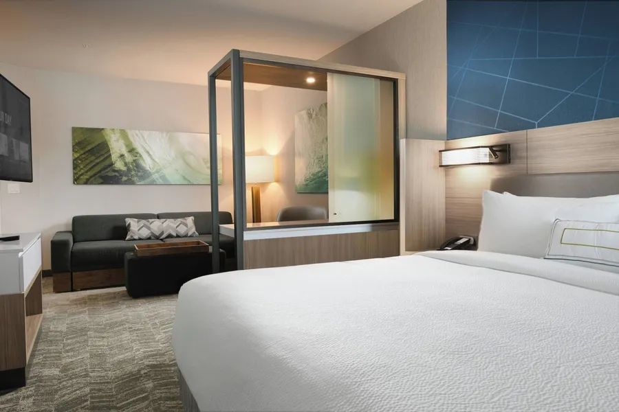SpringHill Suites by Marriott Dallas DFW Airport South/CentrePort hotel detail image 6