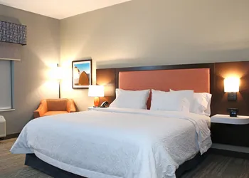 Hampton Inn Buffalo - Amherst, NY hotel thumbnail 8