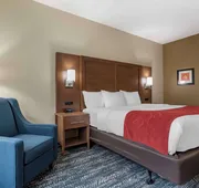 Comfort Inn & Suites Downtown near University hotel detail image 4